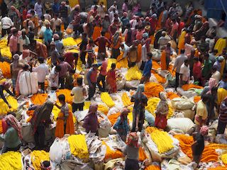Bengale Occidental, Inde • le marché aux feurs de Calcutta
 ( Inde, Bengale Occidental )