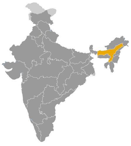 India • |1228/1826| • Ahom dynasty