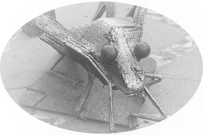 Cuba • La Havane • Callejon de Hamel