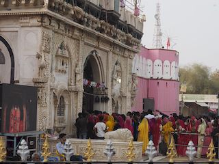 Karni Mata temple, the crowd on a feast day, Deshnoke • India • Rajasthan