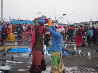 vrouwen verkopen vis, Diu • India • Gujarat