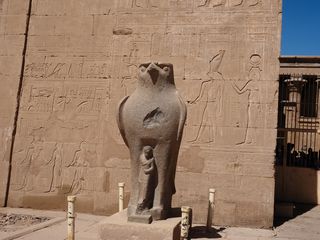 Horus at the entrance of the temple, Edfu • Egypt