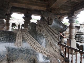 Nandi stier, rijdier van Shiva, Halebid • India • Karnataka