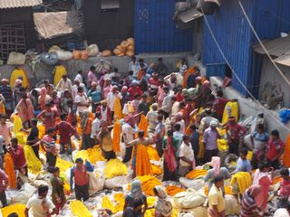 marché aux fleurs, Kolkata  • Inde