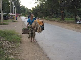 op het omliggende platteland, Inlemeer • Myanmar
