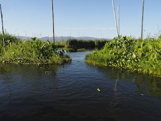 drijvende tuinen, Inlemeer • Myanmar