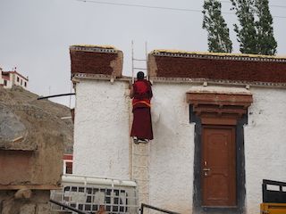 repair work in the monastery, Lamayuru  • India • Ladakh