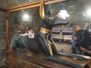 Anubis, Musée Egyptien, Le Caire  • Egypte