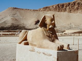 sphinx in front of tthe temple of Hatshepsut, Luxor • Egypt