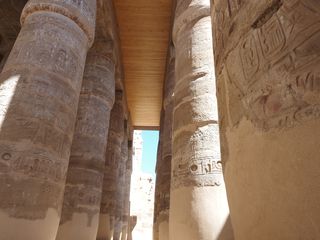 columns of the peristyle hall, Luxor • Egypt