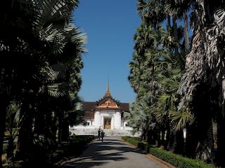le palais royal au bout de l'allée, Luang Prabang  • Laos