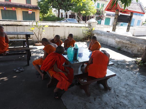 moines discutant à l'ombre, Luang Prabang • Laos