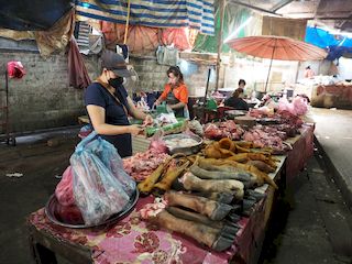 slagerskraam op de Phosy-markt, Luang Prabang • Laos