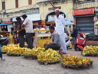 a banana vendor at the entrance to the market, Mysore • India • Karnataka