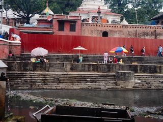 Pashupatinath, les ghats, Kathmandu  • Népal