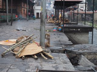 Pashupatinath, les bûchers, Kathmandu  • Népal