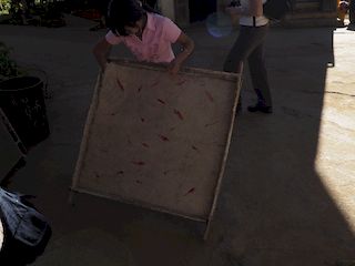 making a sheet of paper, Pindaya • Myanmar