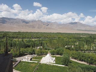 Nature autour du monastère, Shey  • Inde • Ladakh