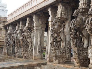 statues équestres au temple Srirangam, Tiruchirappalli  • Inde • Tamil Nadu