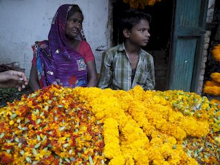 the flower market, Varanasi • India • Uttar Pradesh