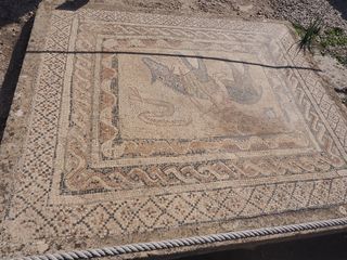 mozaïek, Volubilis • Marokko