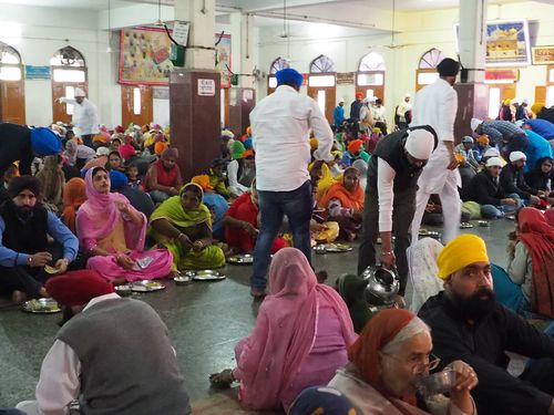 Amritsar • Tradition du Langar à Amritsar ( Inde, Pendjab )