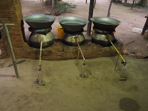 Bagan • Distillation d'alcool de palme ( Myanmar,  )
