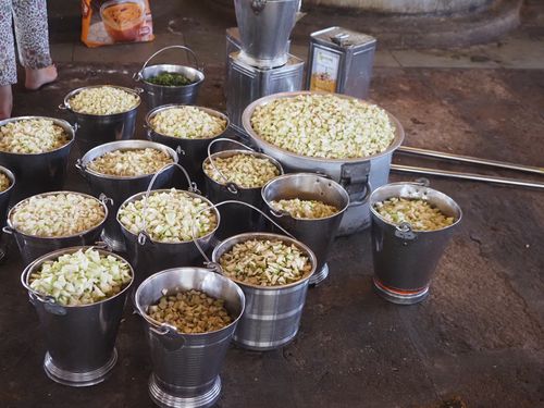 Bagdana • Bhojanshala (free meal) ( India, Gujarat )