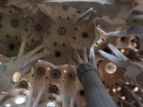 Barcelona • Sagrada Familia: plafond in 2011 ( Spanje,  )