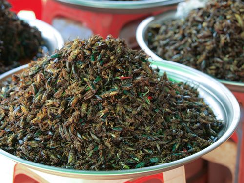 Skun • Marché aux insectes ( Cambodge,  )