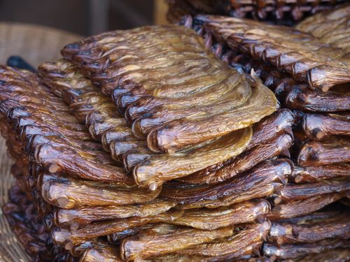 Stoung • Vismarkt ( Cambodja,  )