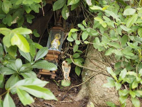 Vinales • Santeria ( Cuba,  )