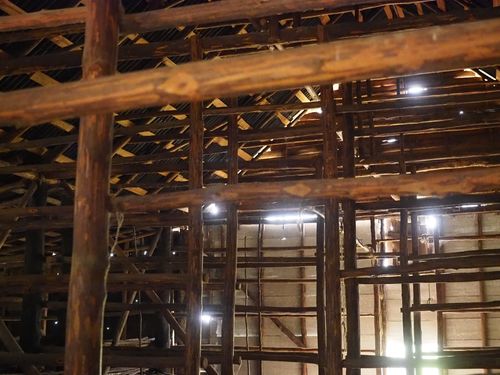 Vinales • Plantation de tabac ( Cuba,  )