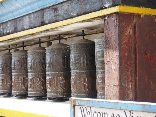 Darjeeling • Ghoom: Monastère Yiga Choeling  ( Inde, Bengale Occidental )