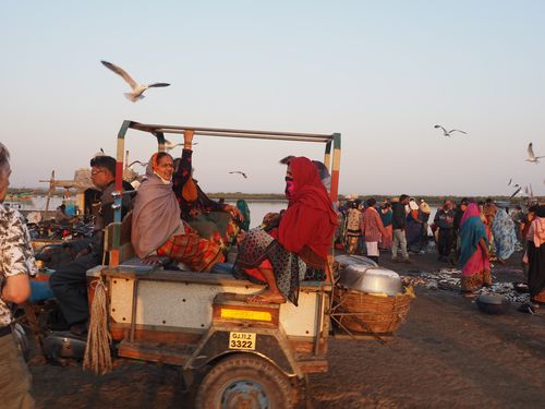 Diu • Vismarkt: einde van de markt ( India, Gujarat )