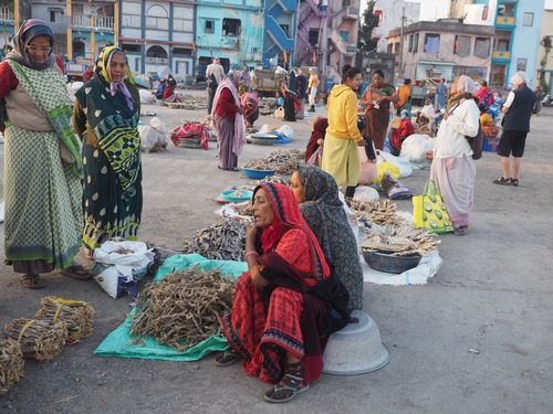 Diu • Vismarkt: a lively market ( India, Gujarat )
