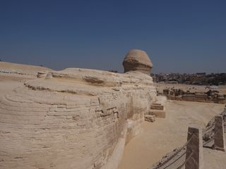 Gizeh • Grote Sfinx van Gizeh ( Egypte,  )