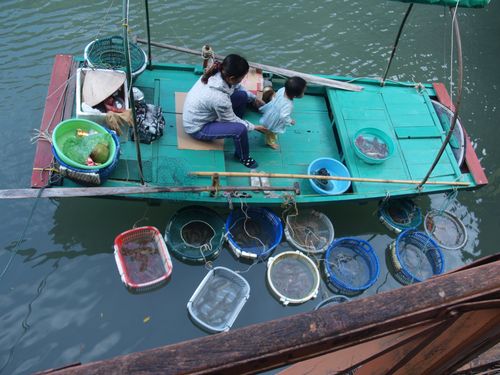 Halong Bay • Floating Villages ( Vietnam,  )