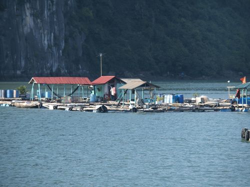Halong Bay • Floating Villages ( Vietnam,  )