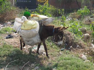 Shabad • a village in Haryana ( India, Rajasthan )