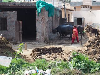 Shabad • a village in Haryana ( India, Rajasthan )
