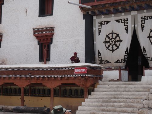 Hemis Gompa • Hemis Gompa ( Inde, Ladakh )