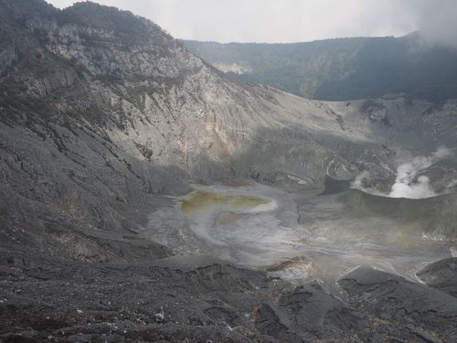 Java • Volcan Tangkuban Perahu ( Indonésie, Java )