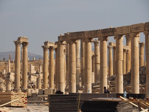Jerash • Forum ( Jordanie,  )