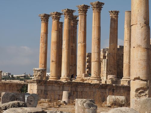 Jerash • Temple d'Artemis ( Jordanie,  )