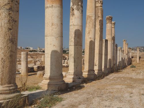 Jerash • Temple d'Artemis ( Jordanie,  )