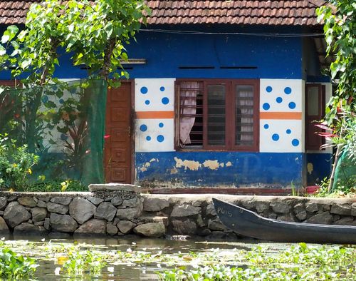 Kottayam  • Marigots du Kerala ( Inde, Kerala )