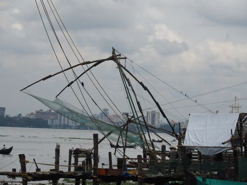 Kochi • Chinese visnetten ( India, Kerala )