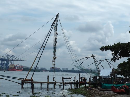 Kochi • Chinese visnetten ( India, Kerala )