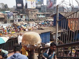 Kolkata • Flower market ( India, West Bengal )